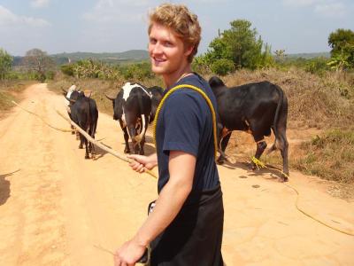 Ich als Ochsentreiber...